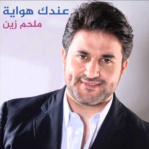 كلمات اغنية ملحم زين – عندك هواية مكتوبة