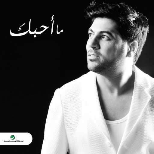 كلمات اغنية وليد الشامي – ما أحبك مكتوبة