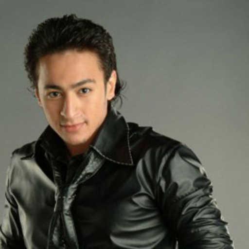 كلمات اغنية حمادة هلال – شهداء 25 مكتوبة