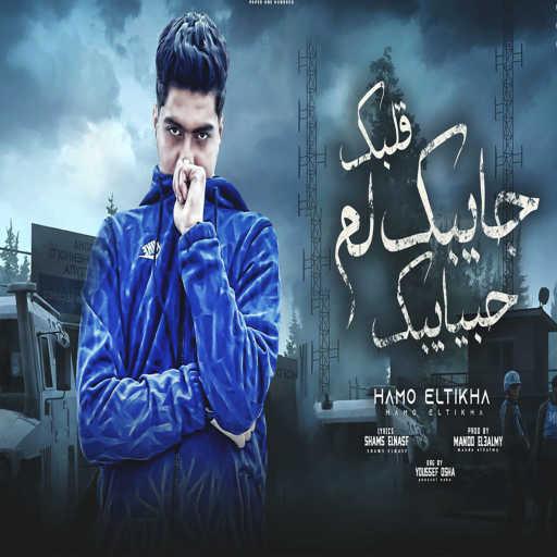 كلمات اغنية حمو الطيخا – قلبك جايبك لم حبايبك مكتوبة