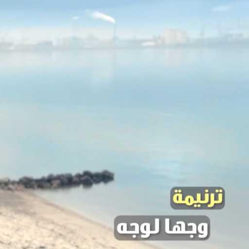 كلمات اغنية سارة رمزي – وجها لوجة مكتوبة