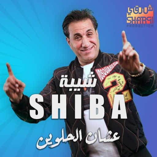 كلمات اغنية أحمد شيبة – عشان الحلوين مكتوبة