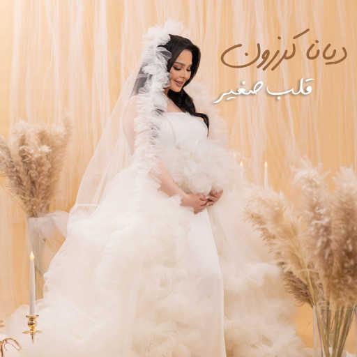 كلمات اغنية ديانا كرزون – قلب صغير مكتوبة