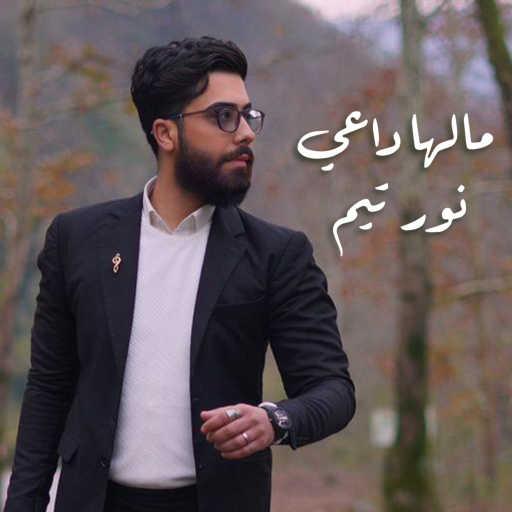 كلمات اغنية نور تيم – مالها داعي مكتوبة