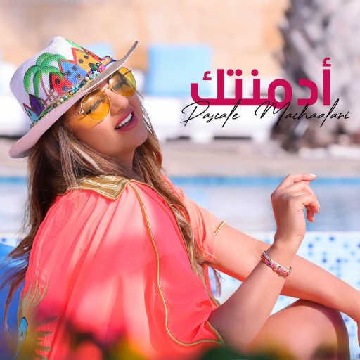 كلمات اغنية باسكال مشعلاني – أدمنتك مكتوبة