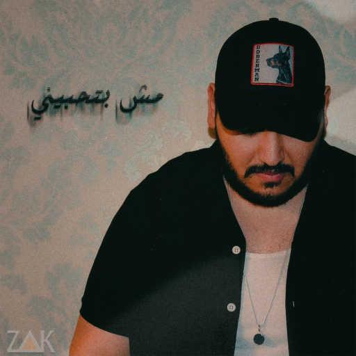 كلمات اغنية زاك – مش بتحبيني مكتوبة