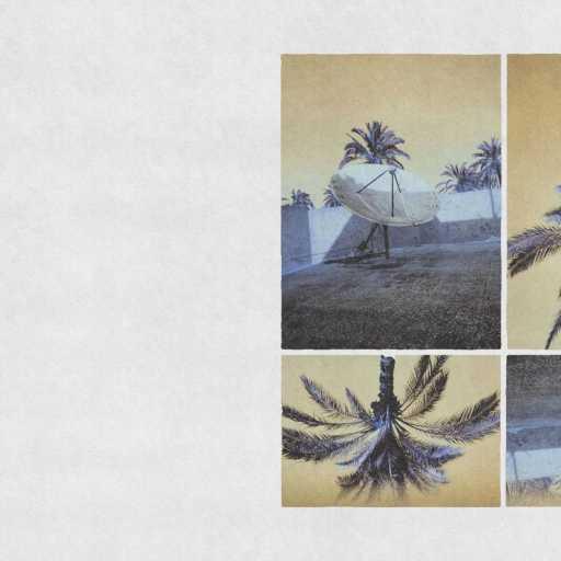 كلمات اغنية فلان – مستني مكتوبة