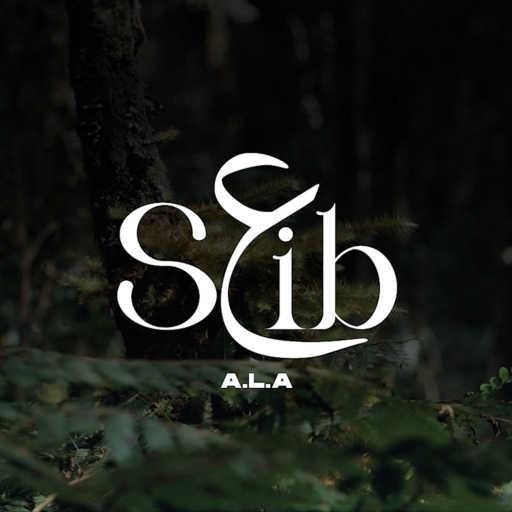 كلمات اغنية علاء – S3ib مكتوبة