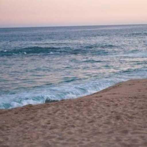 كلمات اغنية نجلاء – هنتقابل مسلم ريمكس مكتوبة