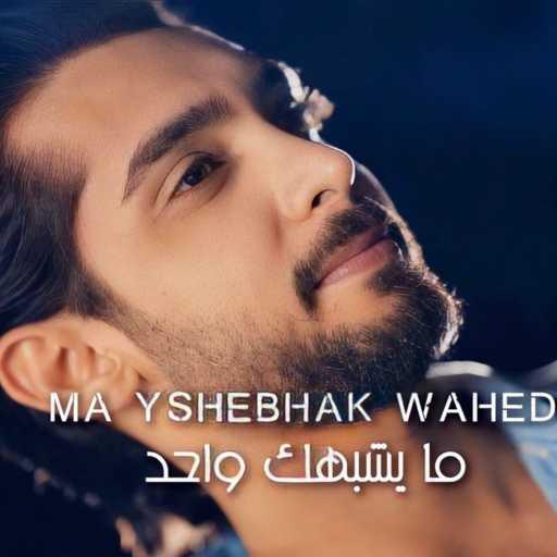 كلمات اغنية سيزار حلبي – ما يشبهك واحد مكتوبة