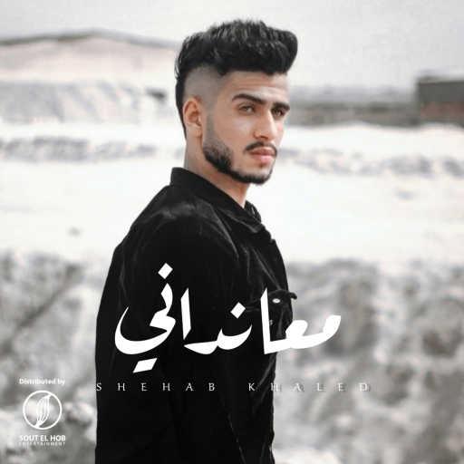 كلمات اغنية شهاب خالد – معانداني مكتوبة