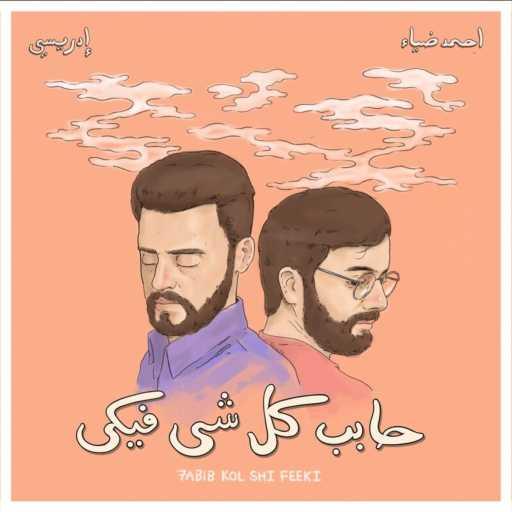 كلمات اغنية Idreesi & Ahmed Diaa – حابب كل شي فيكي مكتوبة