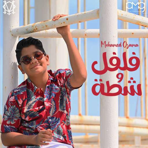 كلمات اغنية محمد أسامة – فلفل وشطة مكتوبة