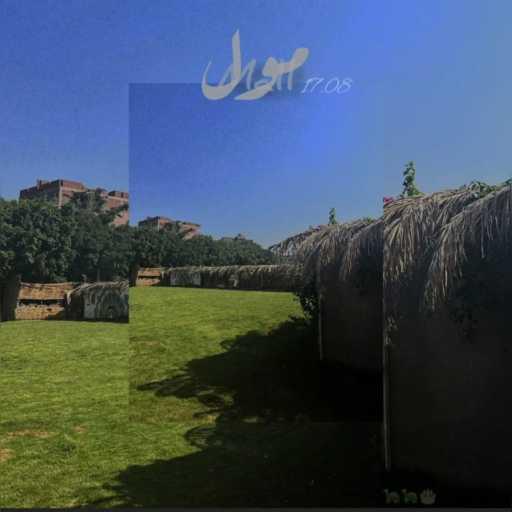 كلمات اغنية دودده – مول مكتوبة