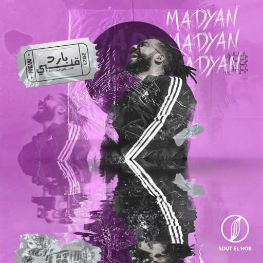 كلمات اغنية مدّين حمزة – قلبي بارد مكتوبة