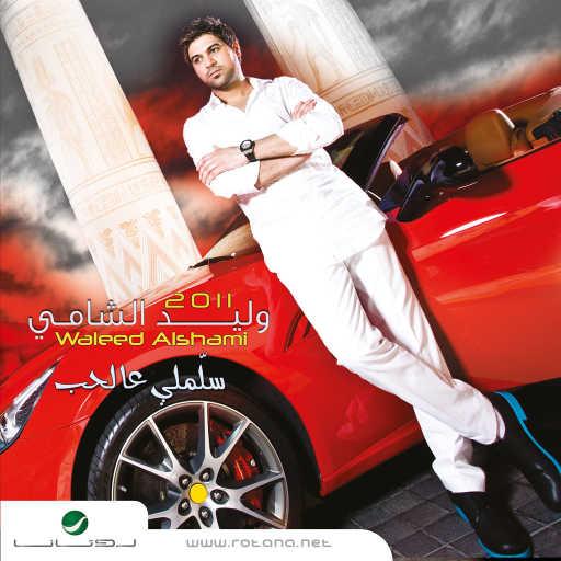 كلمات اغنية وليد الشامي – هي هي مكتوبة