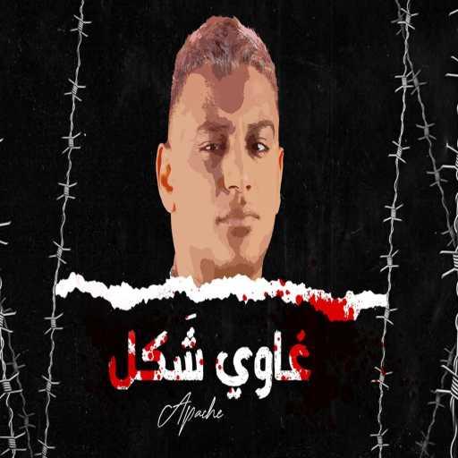 كلمات اغنية اسلام شيندي – غاوي شكل مكتوبة