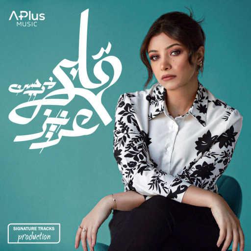 كلمات اغنية مي حسن علي – قلبي عزيز مكتوبة