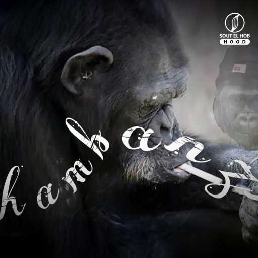 كلمات اغنية محمد بوب – شمبانزي مكتوبة