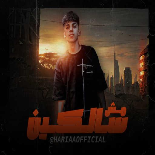 كلمات اغنية سيد حريقه – في احساس ماليني بيقولي انكم مش سالكين مكتوبة