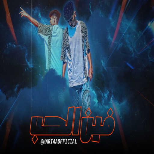 كلمات اغنية سيد حريقه – فين الحب مكتوبة