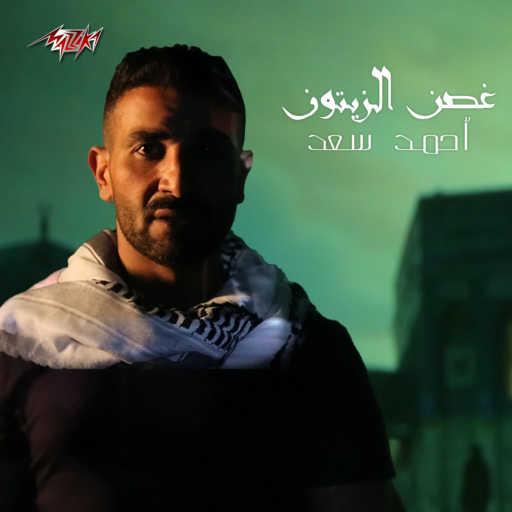 كلمات اغنية احمد سعد – غصن الزيتون مكتوبة