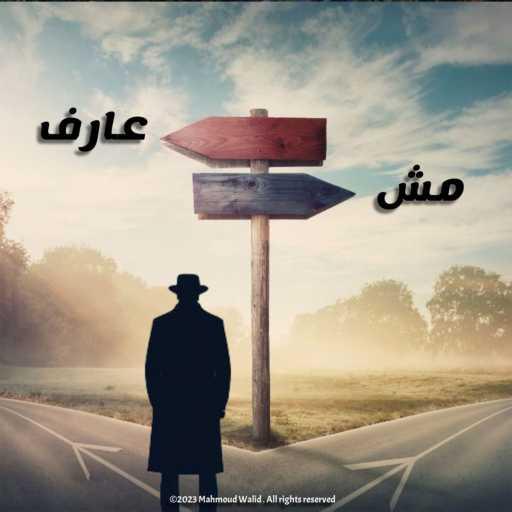 كلمات اغنية محمود وليد – مش عارف مكتوبة