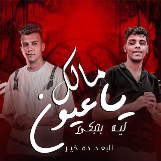 كلمات اغنية Kimo Eldeeb – مالك يا عيون ليه بتبكي ( البعد ده خير ) [feat. Essam Sasa] مكتوبة