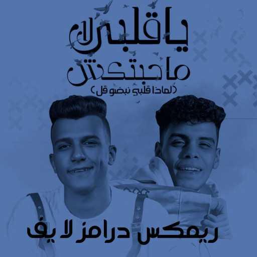 كلمات اغنية وليد احمد – يا قلبي لا محبتكش (لماذا قلبي نبضو قل) ريمكس درامز لايف مكتوبة