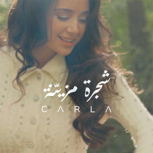 كلمات اغنية كارلا شمعون – شجرة مزينة مكتوبة