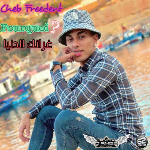 كلمات اغنية الشاب فريدنت – Pourquoi gharratek adania ? مكتوبة