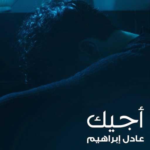 كلمات اغنية عادل ابراهيم – اجيك مكتوبة