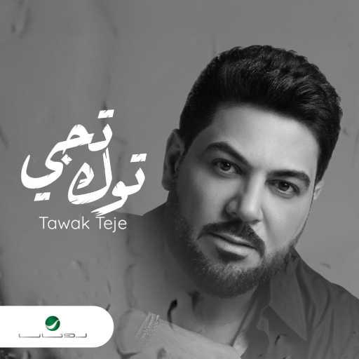 كلمات اغنية وليد الشامي – توك تجي مكتوبة