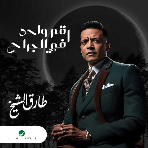 كلمات اغنية طارق الشيخ – رقم واحد في الجراح مكتوبة