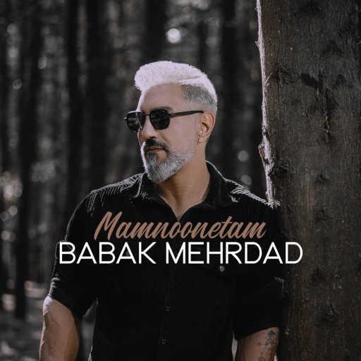 كلمات اغنية babak mehrdad – Mamnoonetam مكتوبة