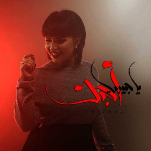 كلمات اغنية شيماء الكويتية – يا حبيبي احبك مكتوبة