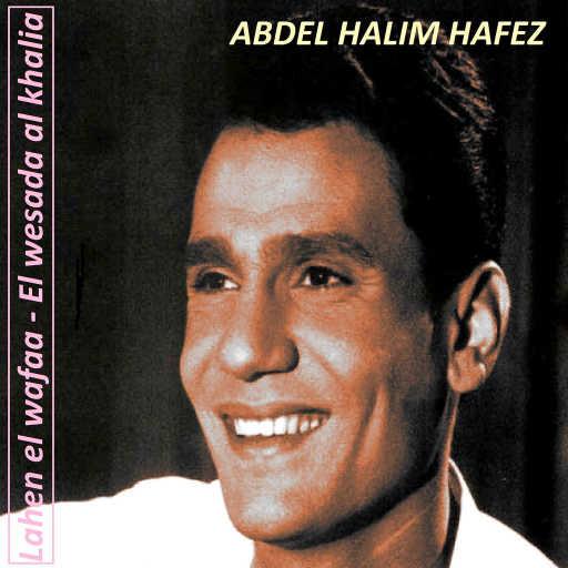كلمات اغنية عبد الحليم حافظ – مشغول وحياتك مكتوبة
