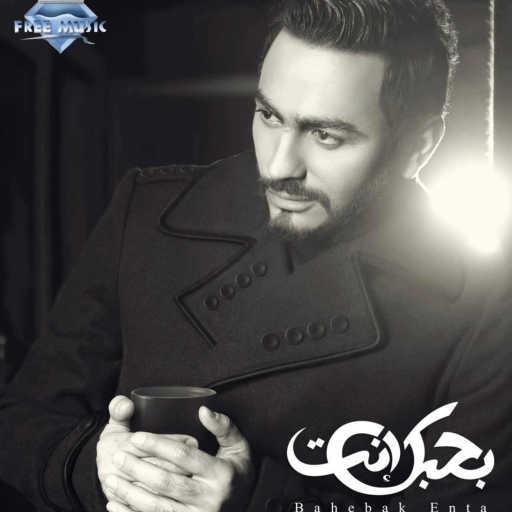 كلمات اغنية تامر حسني – ياريته حد يستاهل مكتوبة