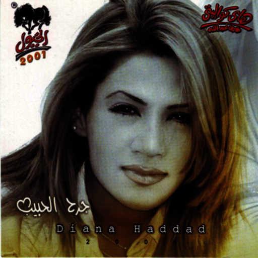 كلمات اغنية ديانا حداد – نور عينى مكتوبة