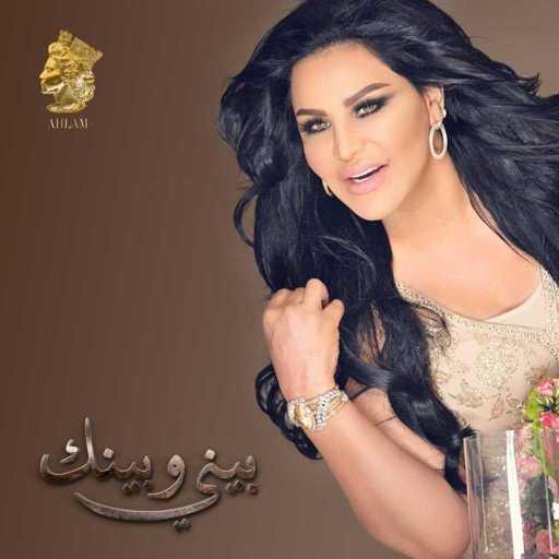 كلمات اغنية أحلام – بيني وبينك مكتوبة