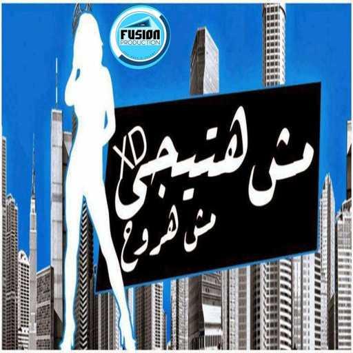 كلمات اغنية تيم حاحا – مهرجان مش هروح | سادات و فيفتى  و الزعيم مكتوبة