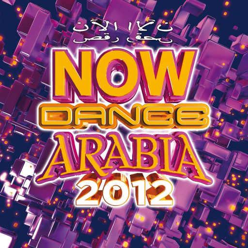 كلمات اغنية ربيع بارود – ورجعتلها مكتوبة