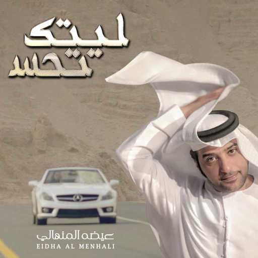 كلمات اغنية عيضة المنهالي – ليتك تحس مكتوبة