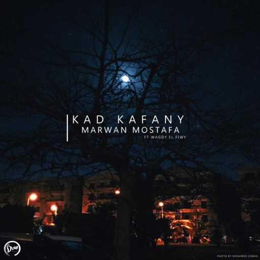 كلمات اغنية مروان مصطفي – قد كفاني مكتوبة