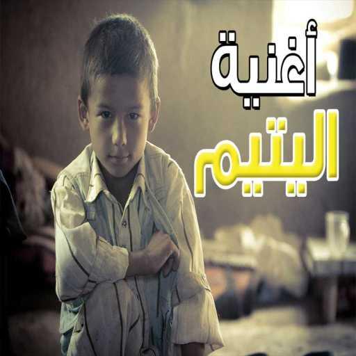 كلمات اغنية محمد جمال – اليتيم مكتوبة