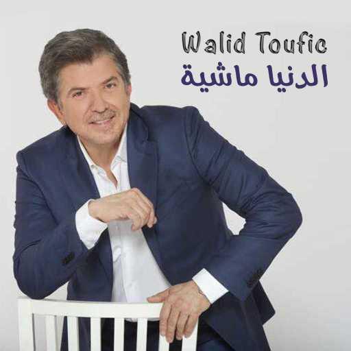 كلمات اغنية وليد توفيق – الدنيا ماشية مكتوبة
