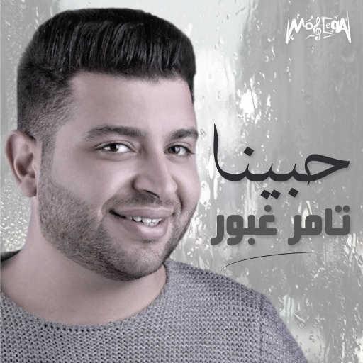 كلمات اغنية تامر غبور – حبينا مكتوبة