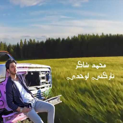 كلمات اغنية محمد شاكر – تاركني لوحدي مكتوبة