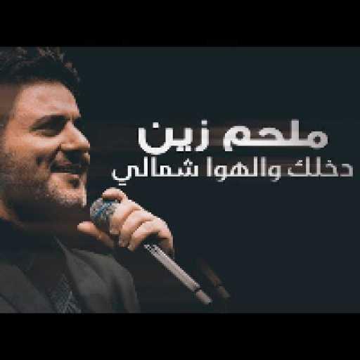 كلمات اغنية ملحم زين – دخلك والهوا مكتوبة