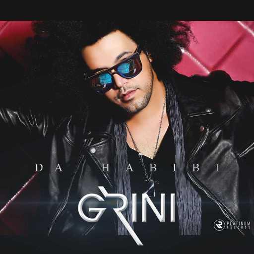 كلمات اغنية عبد الفتاح الجريني – ده حبيبي مكتوبة